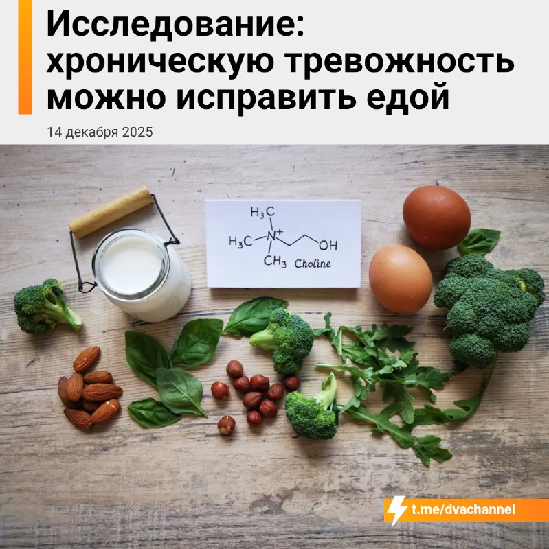 ❗️Хроническую тревожность можно убрать с помощью питания, выяснили учёные из Калифорнийского универс