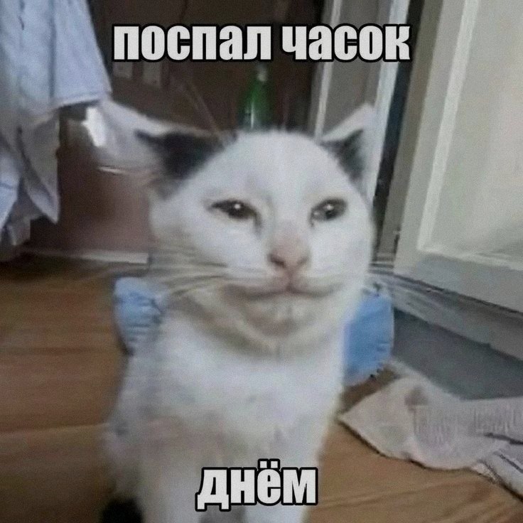 Кошачья подборочка
Спать, режим