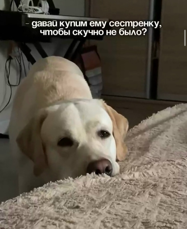 Главное - уют