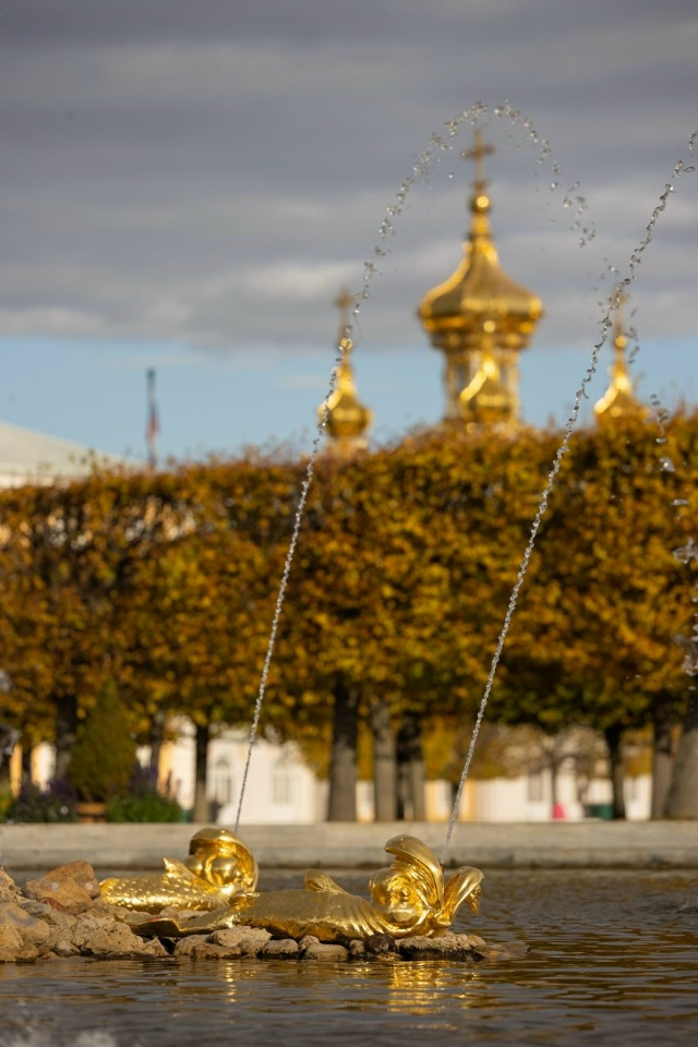 Золотой листопад в Петергофе 🍁