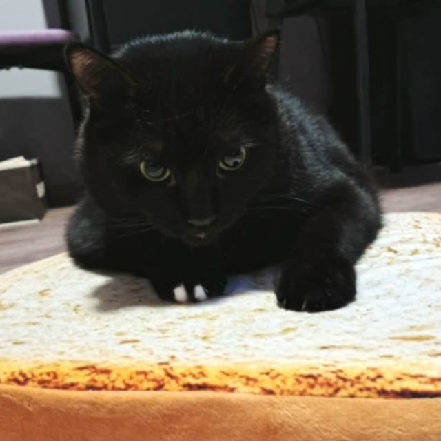 Finally: НАХЛЕБНИК