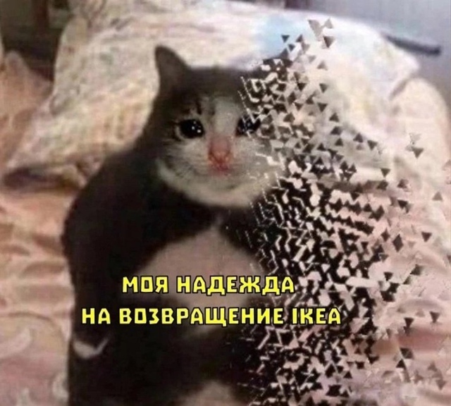 Компании, покинувшие Россию, не смогут вернуть свой би?...
