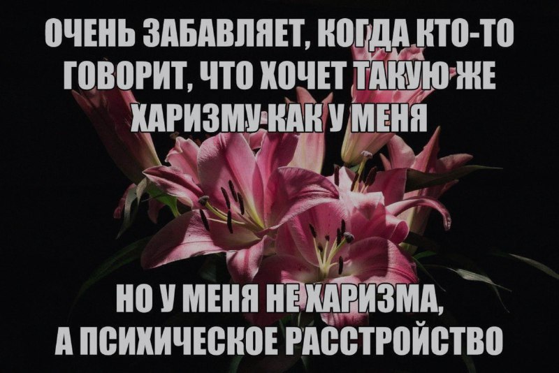 Ночная подборочка
Спать, режим