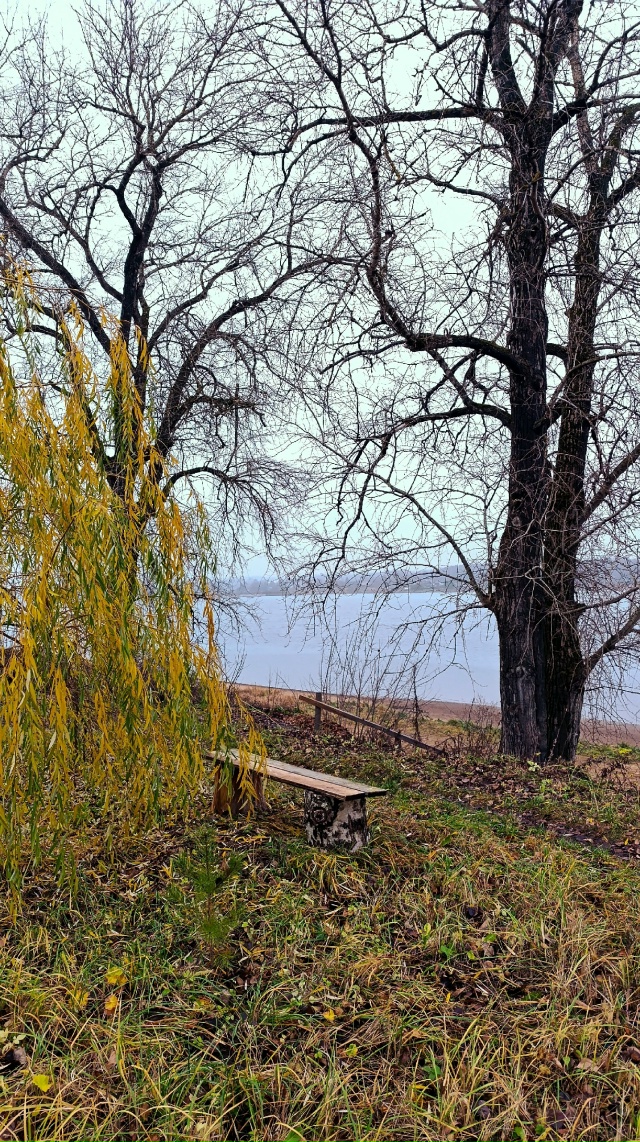 В пасмурной погоде свой кайф😊
Норское