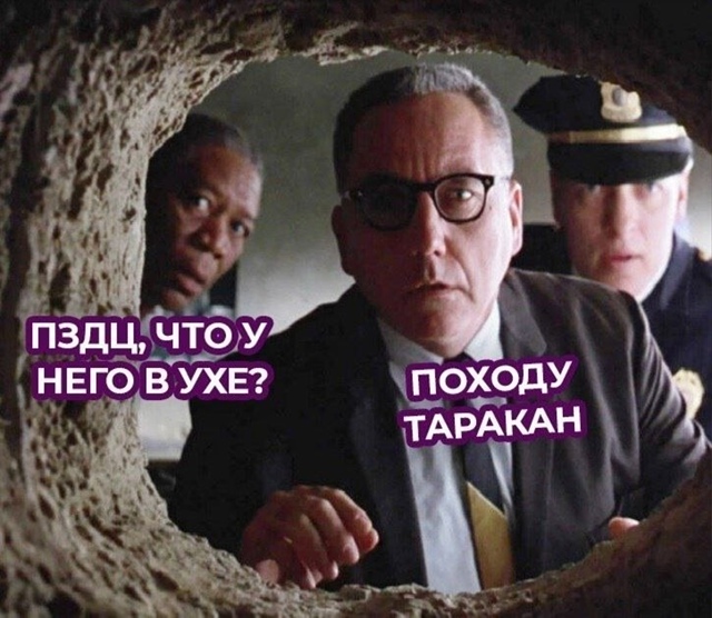 ‼️ Около 30% россиян идут к ЛОРу с инородными предметам...