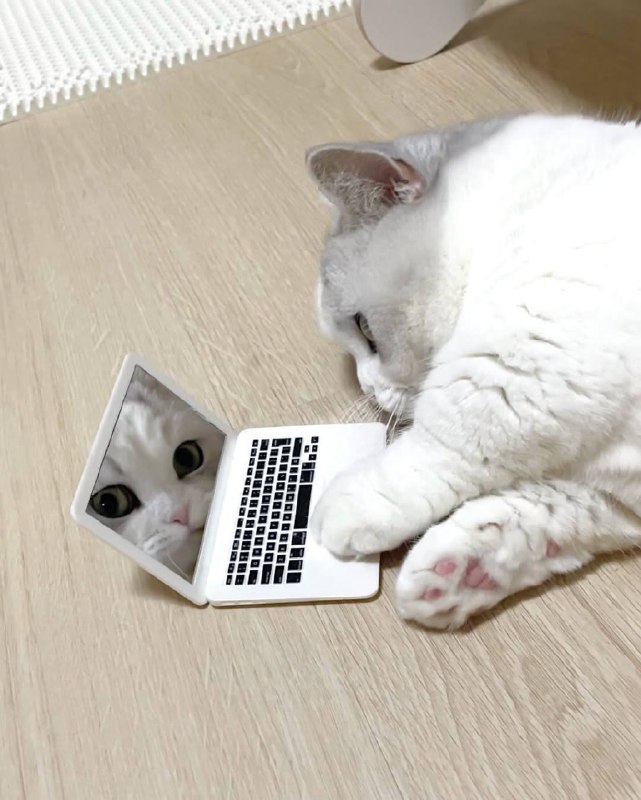 Рабкотаем изо всех сил