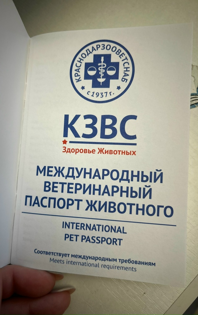 Вот такая красотка ищет дом❤️
Ей 8 месяцев.
Недавно с?...
