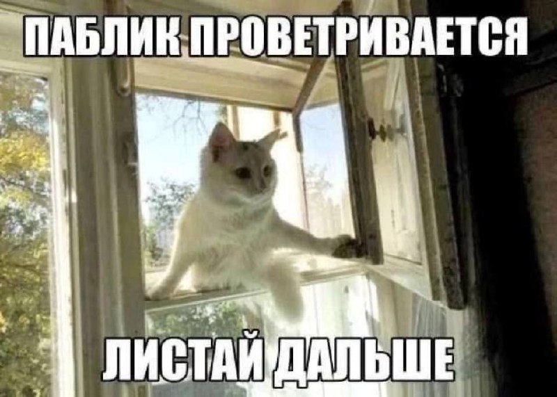 Утренняя подборочка