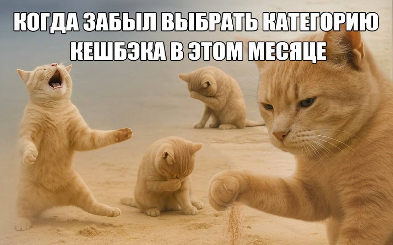 Окак! То есть сейчас прямо бросить все дела и пойти выбирать категории кэшбэка в Яндекс Пэй? Ладно,