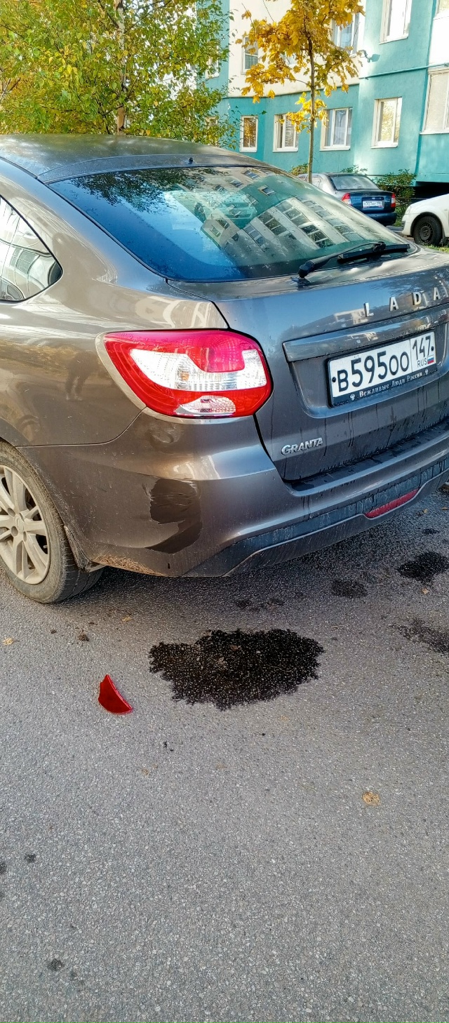 Вас ударил коричневый Киа Спортейдж 287 номер буквы не з...