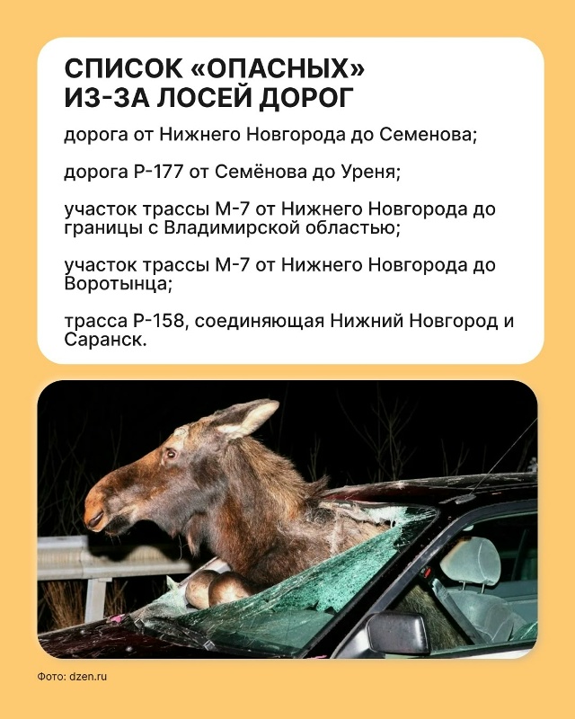 В этом году в Нижегородской области произошло больше с...