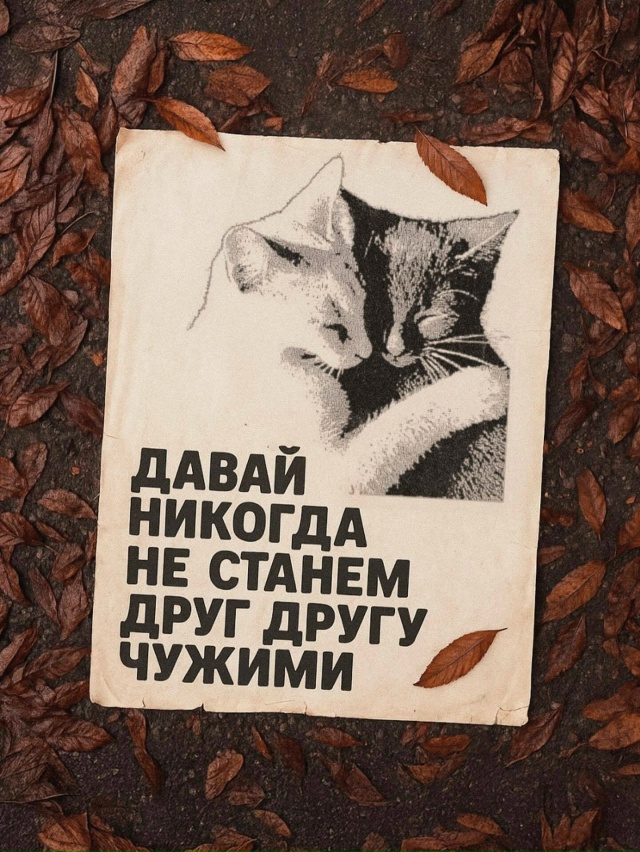 Советы от котиков