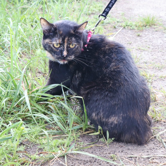 Очаровательная Мия очень ждет встречи со своей семьей?...