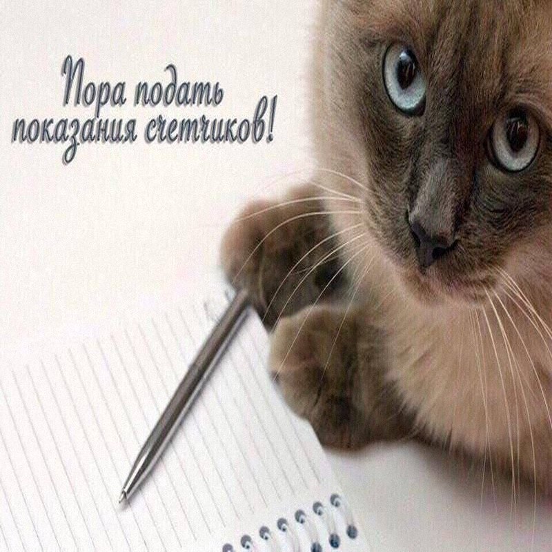 Утренняя подборочка
