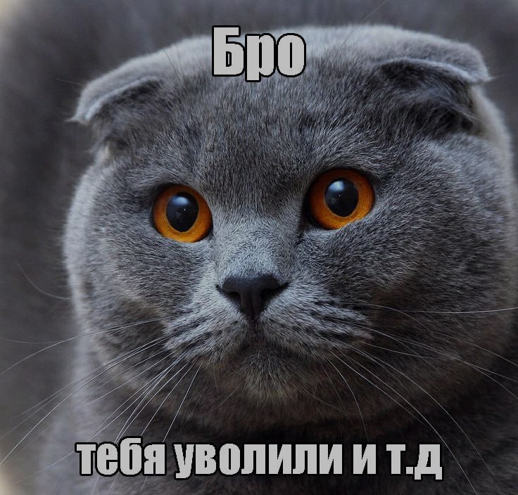 Бро, ночная подборочка
и т.д.