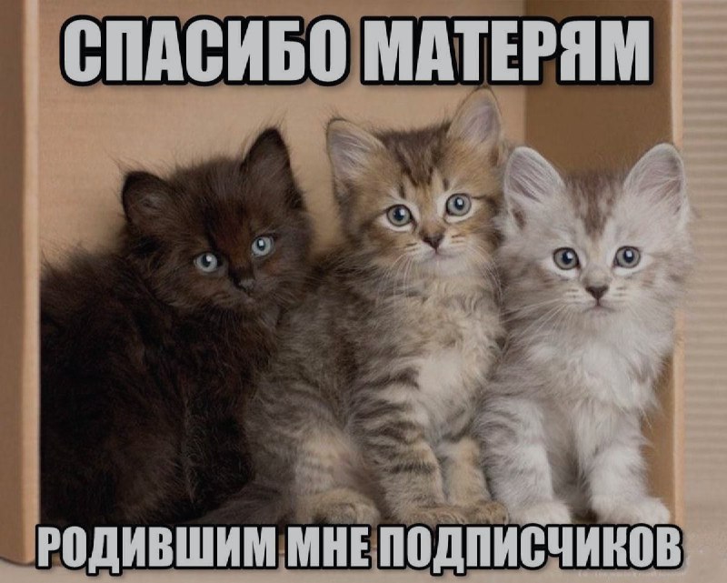 Ночная подборочка
Спать, режим