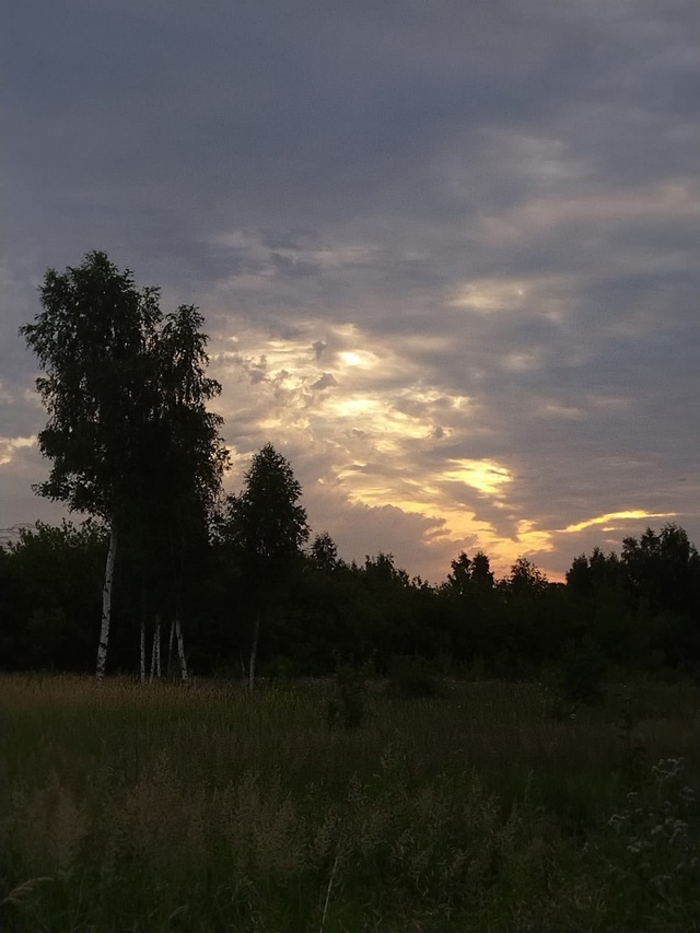 Хорошего вечера!
?Михаил Никонов