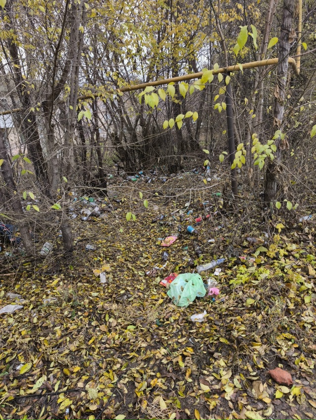 Хотелось бы обратить внимание на территорию в сторону ...