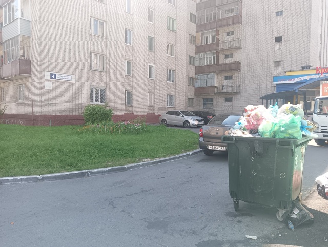 ельниковском проезде 4 не вывозится мусор