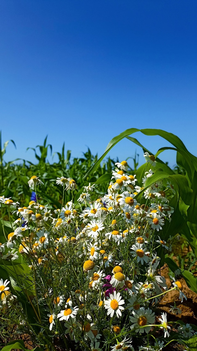 🍃Подальше от городской суеты🍃