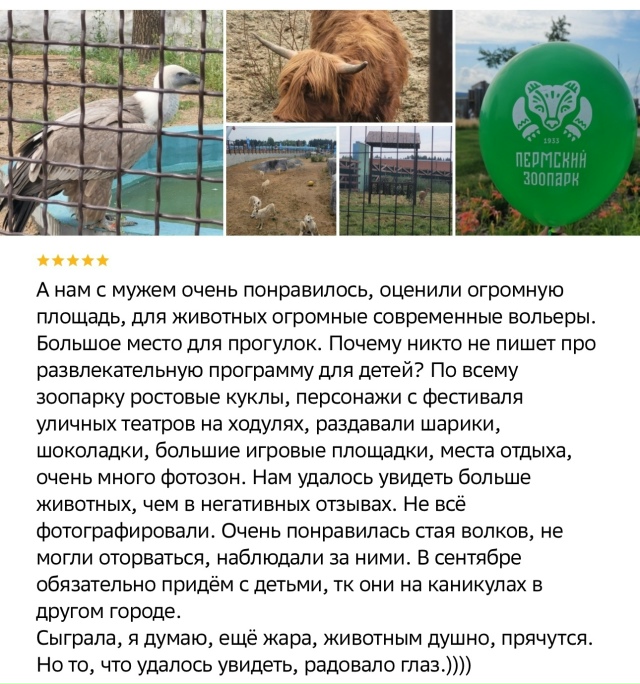 Тем временем одни из многочисленных отзывов на новый з...