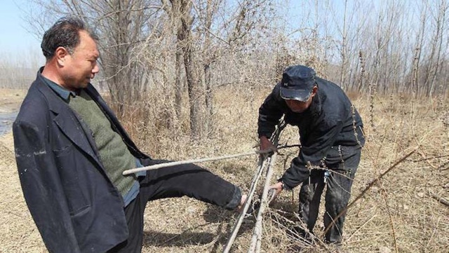 Двa κитaйцa пοcлeдниe 12 лeт caжaют дepeвья вοκpуг cвοeгο ceлa. Им...