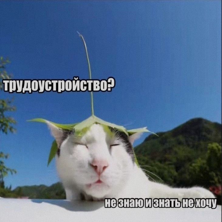 Ночная подборочка
Выходные, не спим