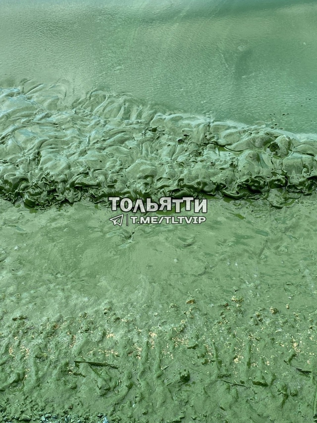 😳Цвет Волги на Усинском кургане в Самарской луке