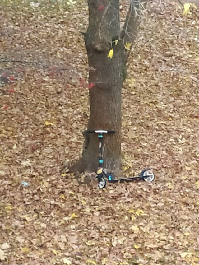 Чья потеряшка? Набережная 6