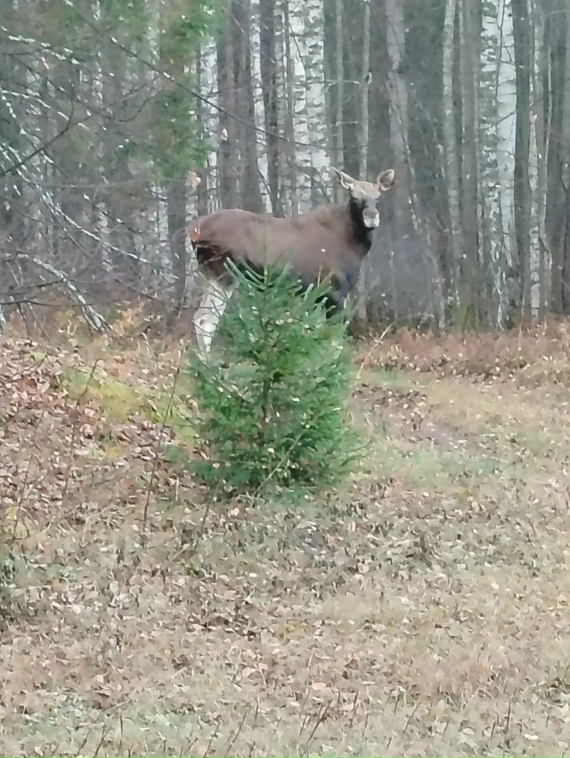 💥 Очередная интересная встреча в национальном парке. ...