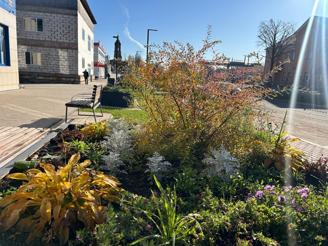 В центре доцветают моменты лета . Спасибо [id790372964|Татья?...