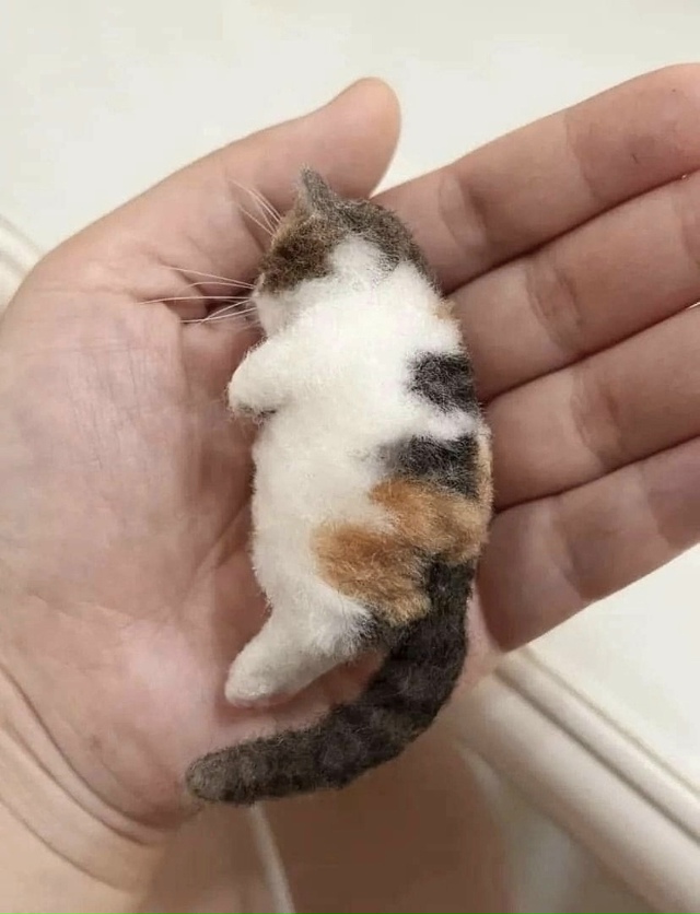 Сделал свою кошку из войлока, это вышло невыносимо мил?...