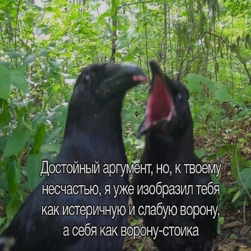 Ночная подборочка
Выходные, не спим