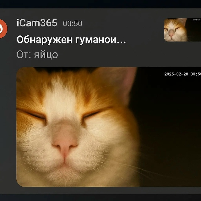 гуманои... он поцветнел...... (он был черно белный)