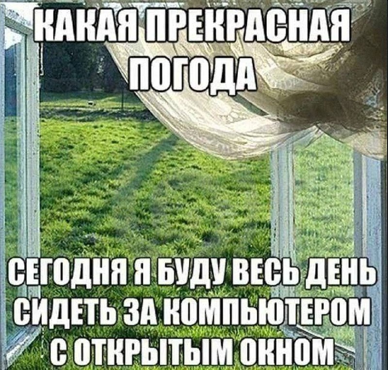 отличное лето