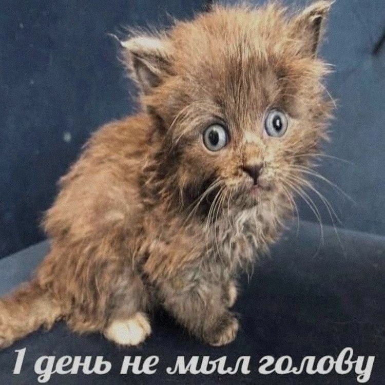 Ночная подборочка
Спать, режим