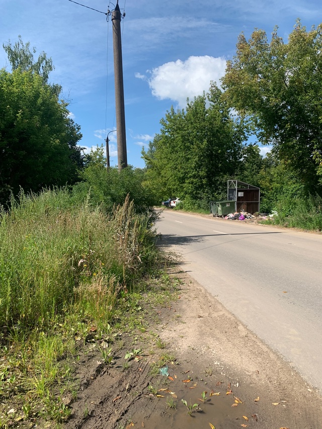 Просьба скосить траву и вырубить кусты
Вдоль дороги п?...