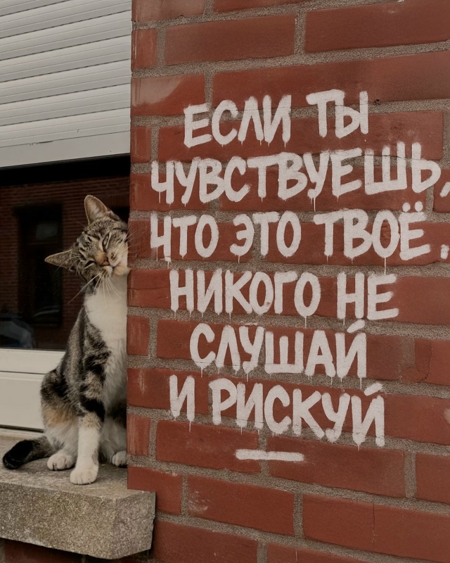 Китики дело говорят