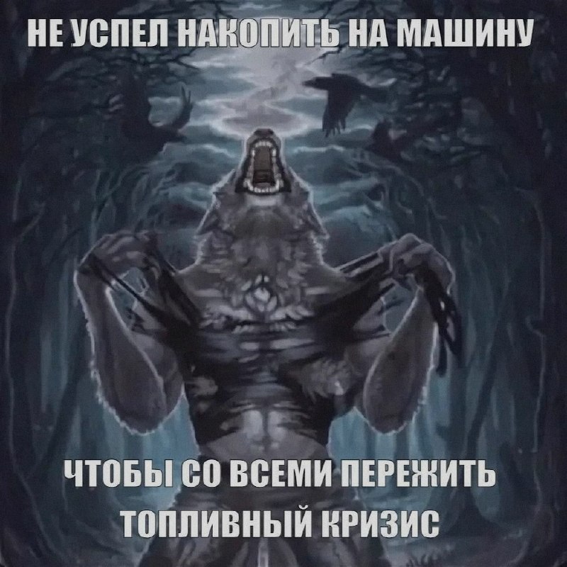 Ночная подборочка
Спать, режим