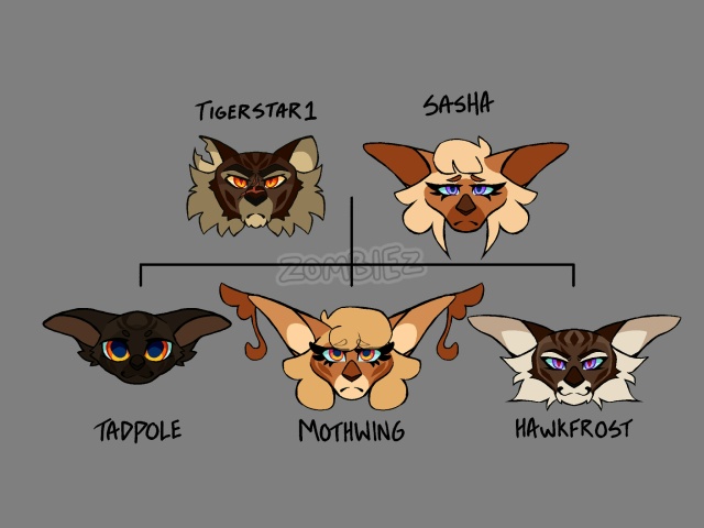 ГЕНЕАЛОГИЧЕСКОЕ ДРЕВО СЕМЬИ ЗВЕЗДОЦАПА
Я уже давно хо...