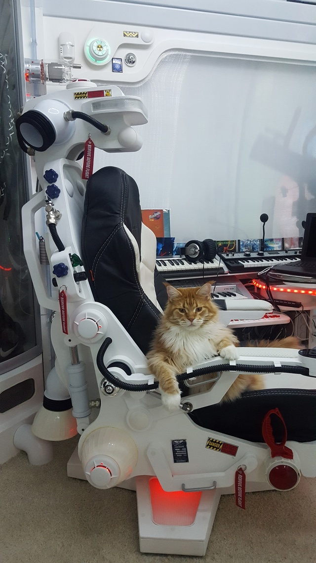 Мой космокот Рысян: