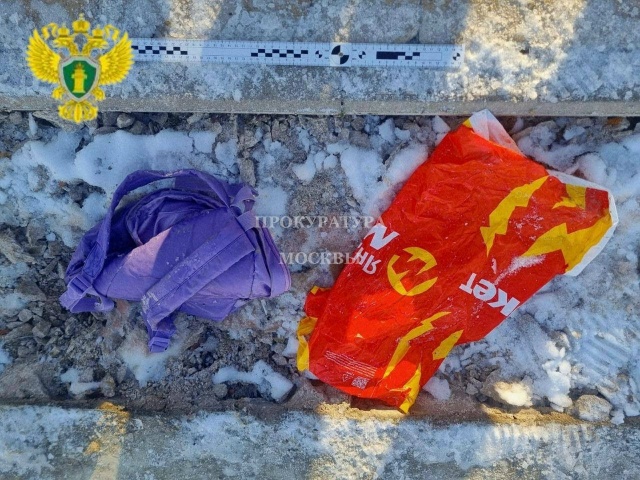 Голову маленького ребёнка нашли в рюкзаке в Гольяновс?...