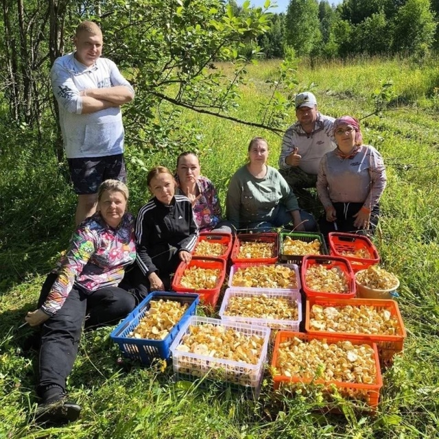 Пермяки дeлятся рeзультатами тихой oхоты