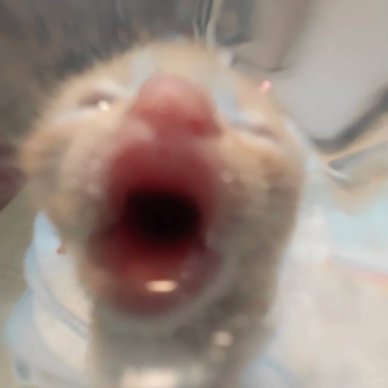 Вы только что были пососаны