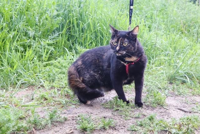 Очаровательная Мия очень ждет встречи со своей семьей?...