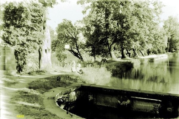 ? Самсоновский бассейн? Жаль, нельзя назад оглянуться...