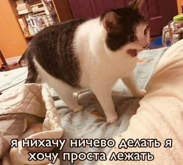 С добрейшим утрецом😴
Остальным кто работает и сейчас ...