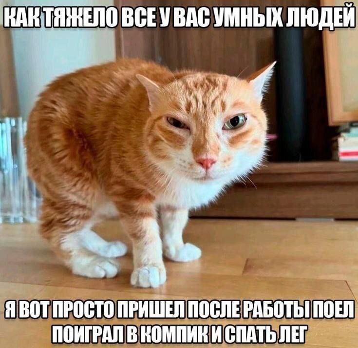 Утренняя подборочка