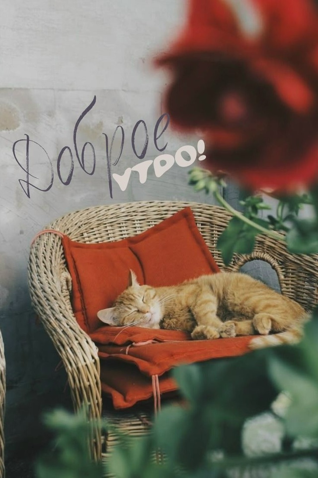 Доброе утро Подслушано!