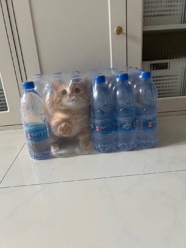Запечатался